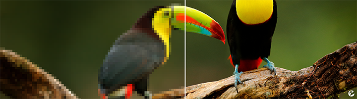 Image showing a comparison of HEVC (H.265) compressed video vs. uncompressed video quality.
