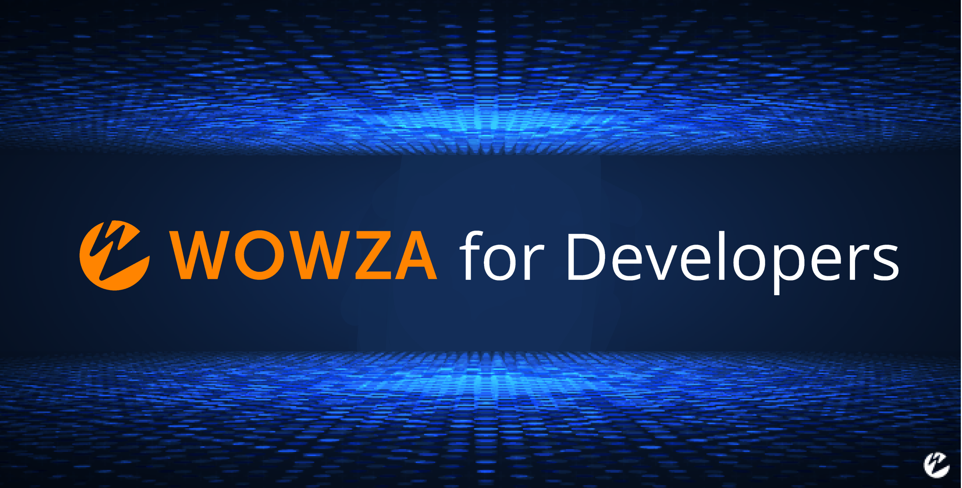 Developer Portal Wowza graphic